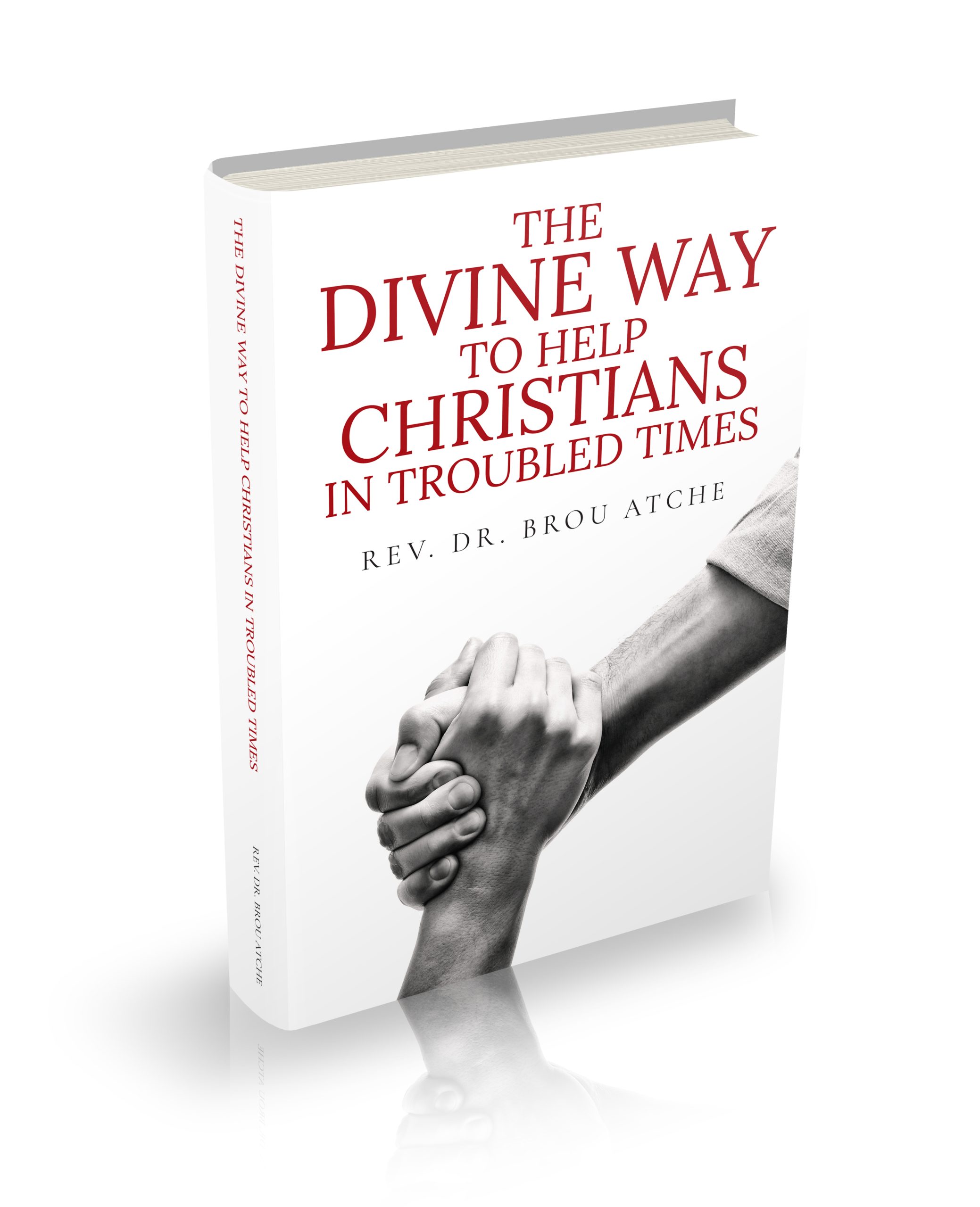 The Divine Way To Help Christians in Troubled Times_3D cover